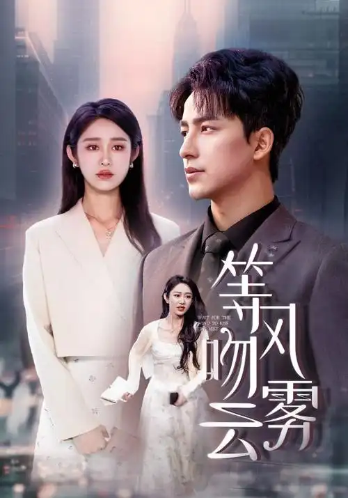 双面档案电视剧全集手机在线观看